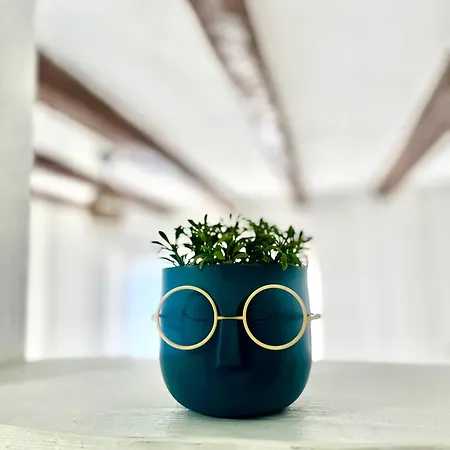 Kamenica In - Old Apartment *